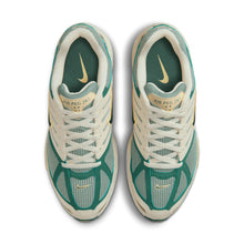 Men's Nike Air Pegasus 2005 (Bicoastal/Coconut Milk)(FZ2590-100)