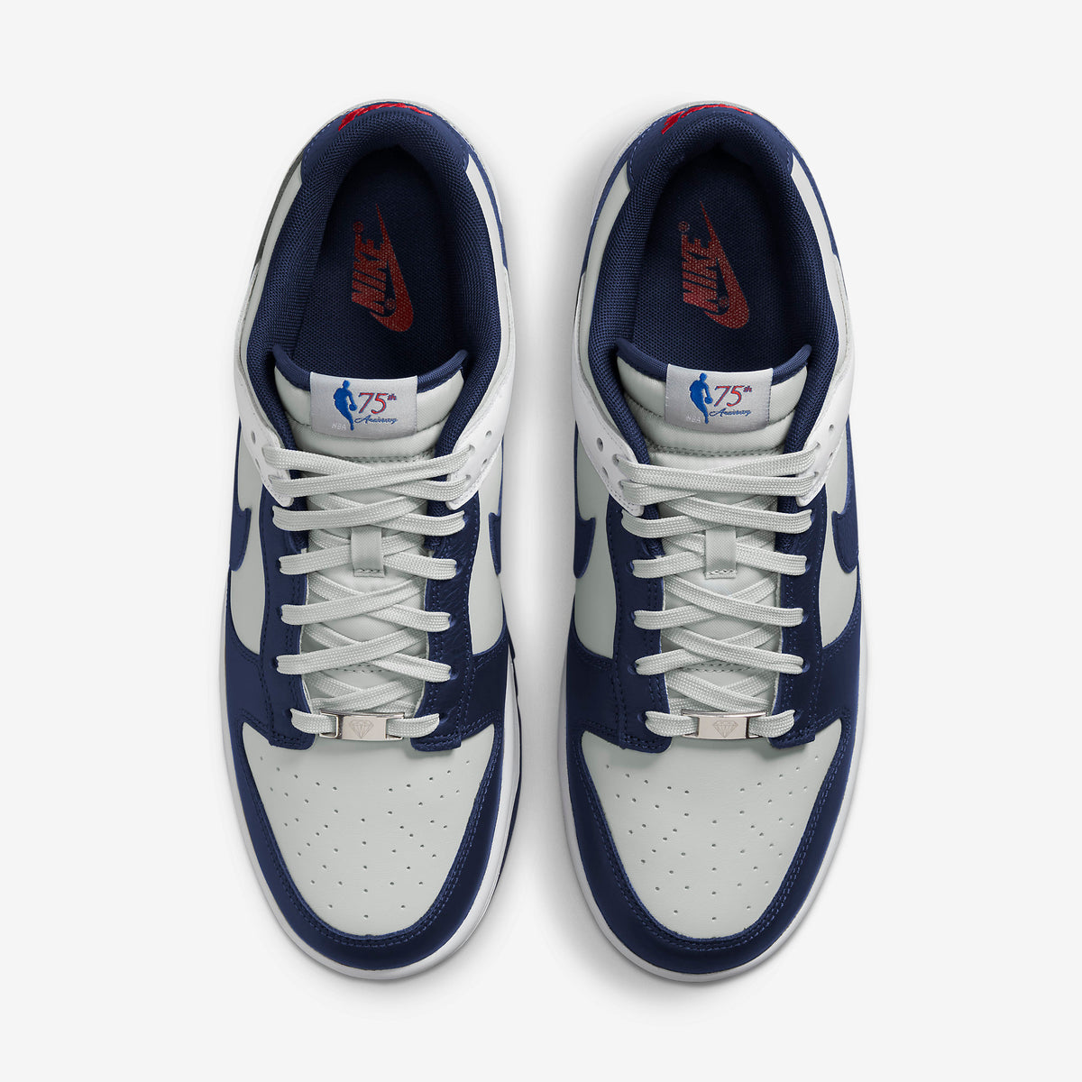 Women's / GS NBA x Nike Dunk Low 
