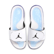 Air Jordan Hydro 5 Retro Slides "Grape" (555501-103)