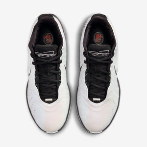 Nike LEBRON XXI 21 "Conchiolin" (HF5842-100)